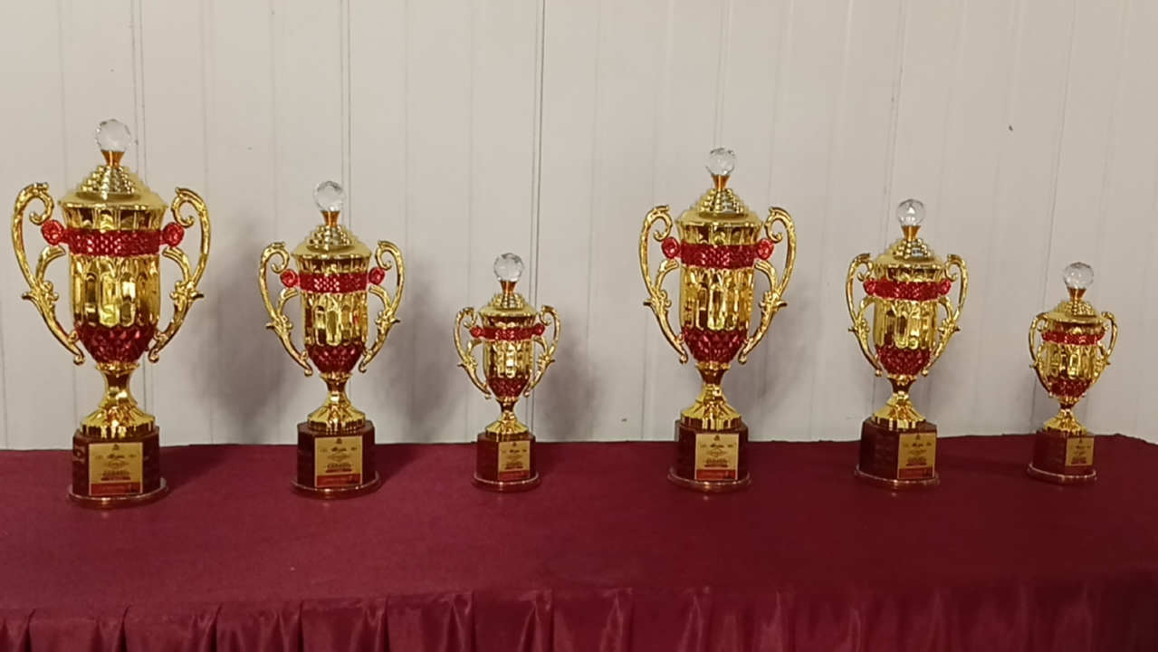 3rd Late Vinayak Nimhan Memorial State Ranking Carrom Tournament 2026-27